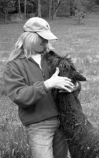 heart, mind and tail animal massage, windsor, vt